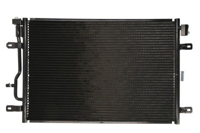 Condensator / Radiator aer conditionat AUDI A4 Cabriolet (8H7, B6, 8HE, B7) (2002 - 2009) THERMOTEC KTT110250 foto