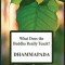 What Does the Buddha Really Teach? (Dhammapada)