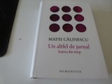 Un altfel de jurnal - Matei Calinescu