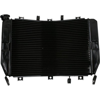 Radiator Kawasaki Ninja ZX6R ZX636 2003-2004 foto