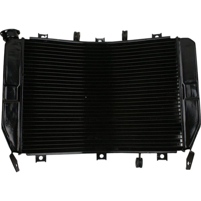 Radiator Kawasaki Ninja ZX6R ZX636 2003-2004