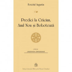 Predici la Craciun, Anul Nou si Boboteaza - Fericitul Augustin