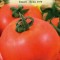 TOMATE HEINZ 1350, 0.8g