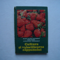 Cultura si valorificarea capsunului - M.E. Ceausescu, R. Vieru, A. Teodorescu