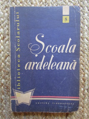 Emil Boldan - Scoala ardeleana foto
