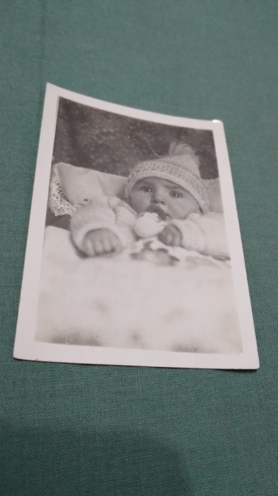 FOTO TIP 9/6 INTERBELICA