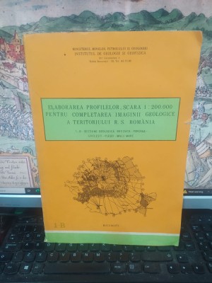 Hartă 1-B, Secțiune geologică Breznița-Poroina-Grecești-Pleșoi-Malu Mare, c. 1984, 103 foto