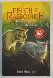 PISICILE RAZBOINICE , VIZIUNEA DIN UMBRE , UN CLAN DESTRAMAT , CARTEA A XXXIII de ERIN HUNTER , 2023