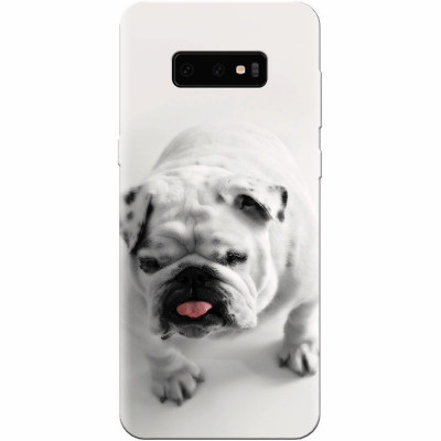 Husa silicon pentru Samsung Galaxy S10 Lite, Pretty Doggy foto