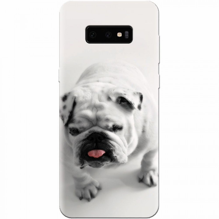 Husa silicon pentru Samsung Galaxy S10 Lite, Pretty Doggy