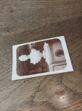 Cumpara ieftin FOTOGRAFIE - BUSTULIULIE HASDEU DIN CAVOUL FAMILIEI HASDEU, CCA 1910