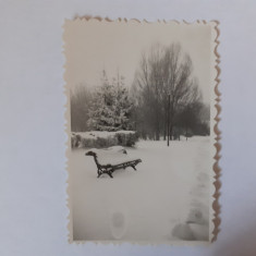 Fotografie dimensiune 6/9 cm cu bancă în parc iarna