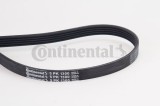 CONTINENTAL CTAM 5PK1300 Curea transmisie cu caneluri
