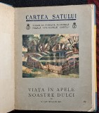 Viata in apele noastre dulci - V. Grimalschi