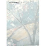 Maria Nichifor, Picturi