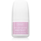 Ziaja Antiperspirant Protect antiperspirant roll-on parfum Floral &amp; Musky 60 ml