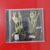 Blazzaj - Macadam (CD), Jazz