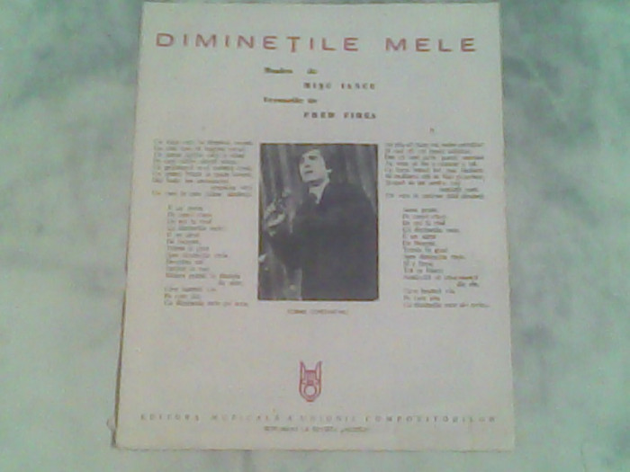 Diminetile mele-Misu Iancu