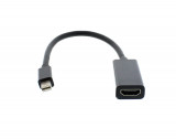 Adaptor HDMI mama - mini Displayport tata 15cm Well