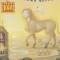 Autobiography of a Brown Buffalo