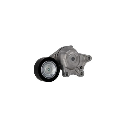 Intinzator curea CITROEN C3 II DAYCO APV3230 foto