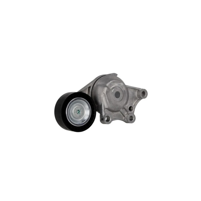 Intinzator curea CITROEN C3 II DAYCO APV3230