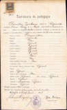 A817 Testimoniu pedagogic, 1906, semnat olograf Patriciu Dragalina și Ilie Minea