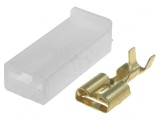 Set 10 Terminale Mamă 6.3mm cu Protecție