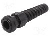 Presetupa poliamida, PG13,5, IP66, IP68, ALPHA WIRE - PPS13 BK080 foto