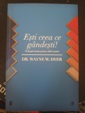 Ești ceea ce g&acirc;ndești &ndash; Dr. Wayne W. Dyer
