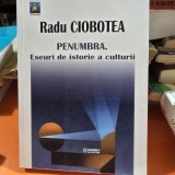 Penumbra, eseuri de istorie a culturii - Radu Ciobotea
