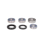 Cumpara ieftin Kit Rulmenti Roata spate Honda 1000 FireBlade All Balls 25-1758