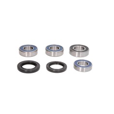 Kit Rulmenti Roata spate Honda 1000 FireBlade All Balls 25-1758