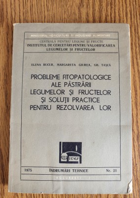 Probleme fitopatologice ale păstrării legumelor și fructelor și soluții practice foto