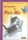 Din ispravile lui Pisic Mic Alexandru Stanese Florica Elena Lorint Literatura Clasica Editie Cartonata Carti Rar Coperta Cartonata Romane Celebre
