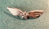 Semn de arma aviatie militara Romania