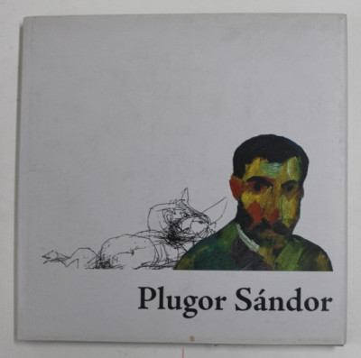 PLUGOR SANDOR , ALBUM DE ARTA , TEXT IN ROMANA , MAGHIARA , ENGLEZA , 2009 foto