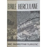 BAILE HERCULANE-T. TRAPCEA-219405