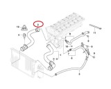 Furtun radiator Bmw Seria 3 E46 1998-2006, cauciuc, RapidAuto 2008PW-5