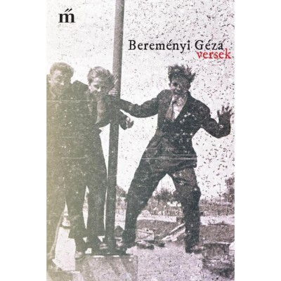Versek - Berem&amp;eacute;nyi G&amp;eacute;za foto