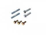 Set Prezoane si Suruburi Cilindru Activ 1P39FMB, Scuter 4T, M6x1.0, M5x0.8