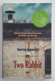 TWO RABBIT, roman de BEATRICE OGNENOVICI , 2013