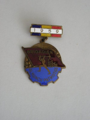 QW9 L 1 - Insigna - tematica comunism - Brigadier al muncii patriotice - 1959 foto