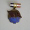 QW9 L 1 - Insigna - tematica comunism - Brigadier al muncii patriotice - 1959