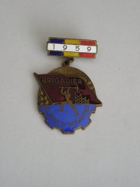 QW9 L 1 - Insigna - tematica comunism - Brigadier al muncii patriotice - 1959