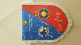 Fanion Corvinul-FCSB