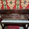 Instrumente muzicale