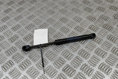 Amortizor capota st&amp;acirc;nga față BMW 3 G20, G28 2024 OEM: 7419387 30468411 foto