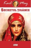 Secretul tigancii - Karl May