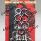 MBS Kit reparatie bascula KX250F/ KX450F &#039;06-&#039;09/ KLX450R, Cod Produs: PWSAKK16021VP